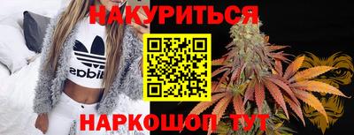 амф Кингисепп