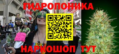 амф Кингисепп