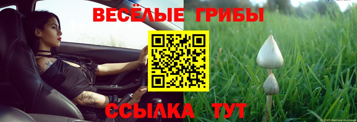 Псилоцибиновые грибы Psilocybe  Галлюциногенные грибы Cubensis  Вход с VPN  Троицк 